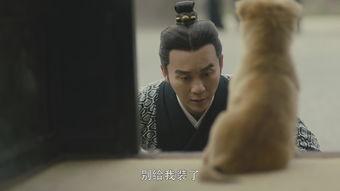 国产男人的天堂,男人的天堂,情感与激情的完美融合